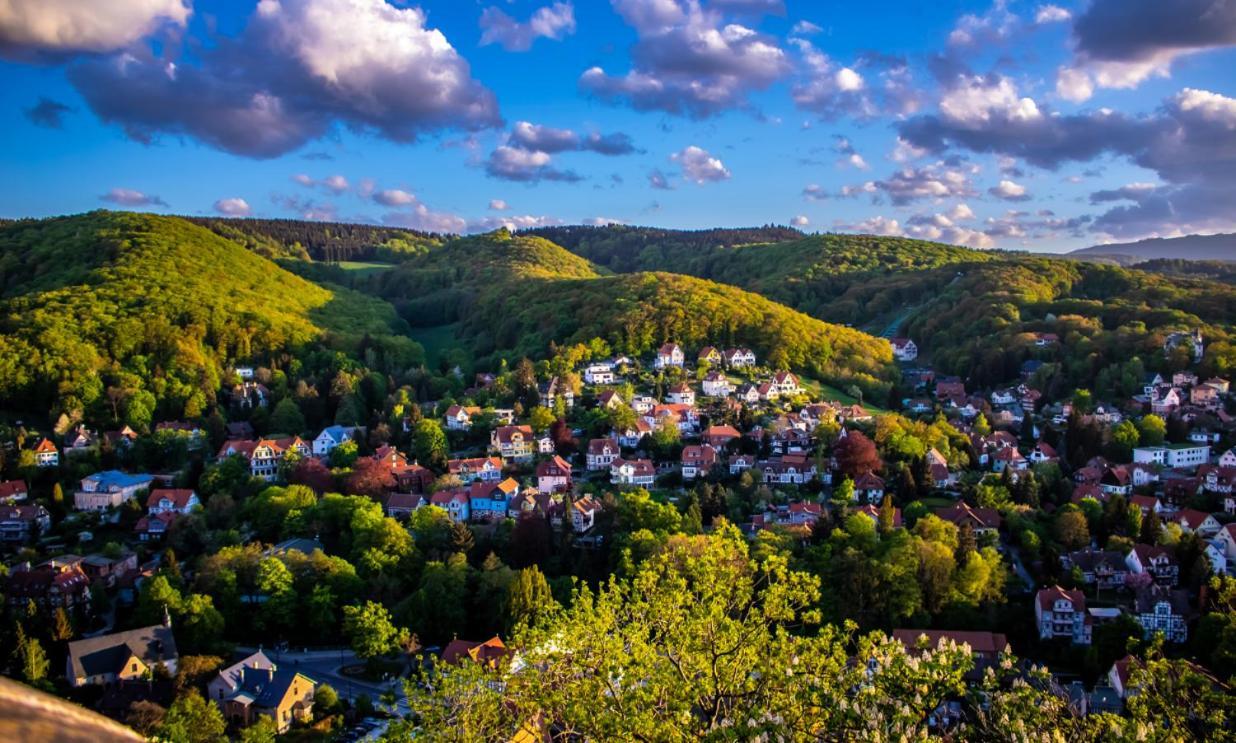 Chalet Mit Schlossblick Wernigerode, Chalet 2 Bagian luar foto